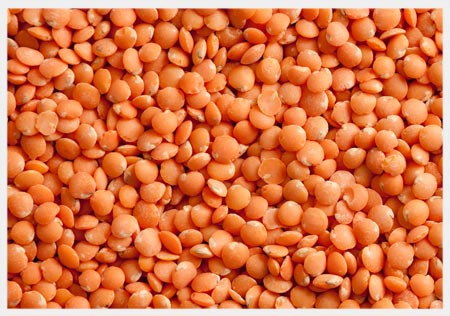 Red Lentils Whole